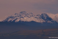 Chimborazo-2